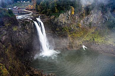 线条小狗官方游戏《线条小狗：动物温泉》正式上线！温泉×萌物的双重治愈！
